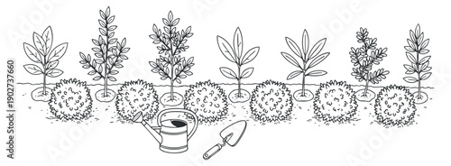 A line of various plants with a watering can and shovel in clean black and white outline vector style, ideal for gardening and landscaping projects