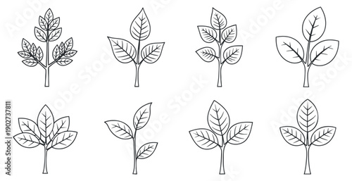 A collection of various leaf designs in minimalist outline vector style, perfect for nature-themed projects and illustrations