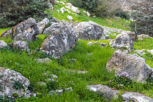 Naturalistic rock garden featuring large weathered limestone boulders arranged on a sloping terrain covered with vibrant green grass.