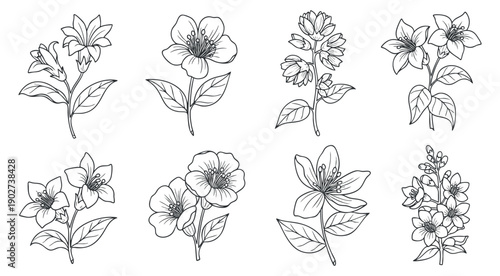 A collection of hand-drawn flower illustrations in outline vector style, perfect for floral designs and decorative projects