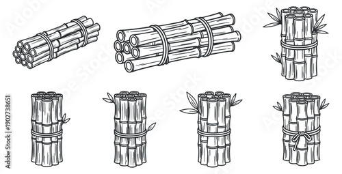 A collection of bamboo sticks bundled together in outline sketch vector style, perfect for eco-friendly design projects
