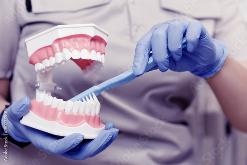 Dental professional demonstrates proper brushing technique using a dental model with teeth and gums, wearing blue gloves in a clinical setting