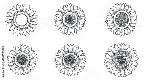A collection of six sunflower illustrations in black and white outline vector style, perfect for floral design projects