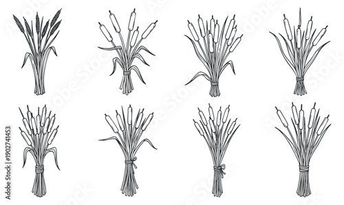 A collection of hand-drawn wheat, barley, and rice bundles in black and white vector style, suitable for agricultural branding and organic food design