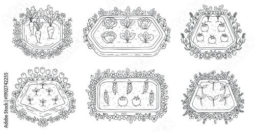 A collection of hand-drawn vegetable illustrations featuring carrots, tomatoes, cucumbers, and lettuce in black and white line art style, suitable for organic food branding