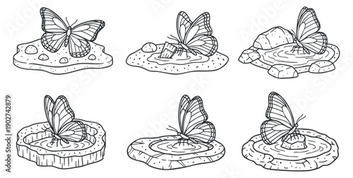A collection of six outlined butterflies perched on different natural rock surfaces with water in a minimalist vector style, ideal for nature-themed designs