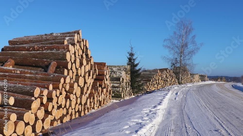 Large stacks of freshly cut logs rest in a snowy winter landscape beside an evergreen tree, under a clear blue sky in a rural forestry area.