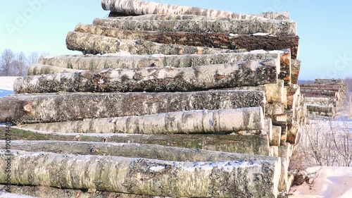 Stacked birch logs covered with light snow rest outdoors in a winter landscape, showing rough bark textures and freshly cut ends under clear daylight.