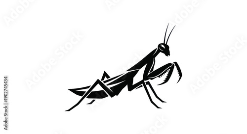 Foto Black praying mantis silhouette illustration
