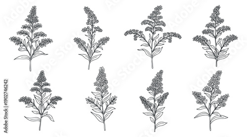 A collection of eight floral illustrations featuring detailed flowers and leaves in black and white outline style, perfect for botanical designs and nature-themed projects