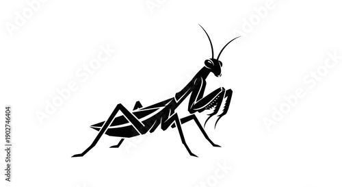Black praying mantis silhouette isolated