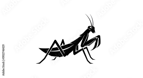 Black praying mantis silhouette isolated