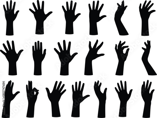 Black silhouette of a flock of five birds flying in formation against a white background, migratory wildlife soaring in flight, isolated vector nature graphic