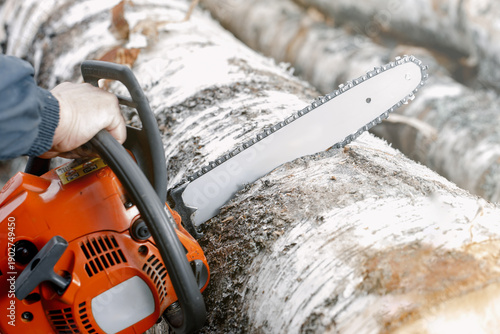 Chainsaw held by a person cutting through a large log with visible bark and wood grain in an outdoor setting surrounded by additional logs
