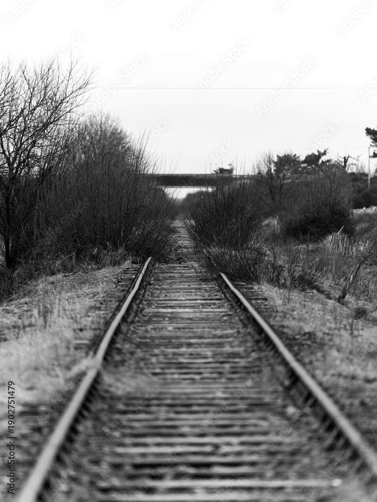 Fototapeta premium Railway Track