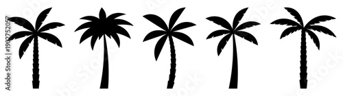 Palm icons set
