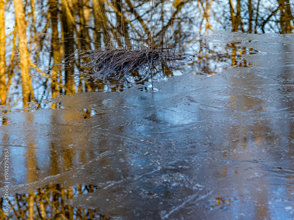 Obraz premium Halb zugefrorener See