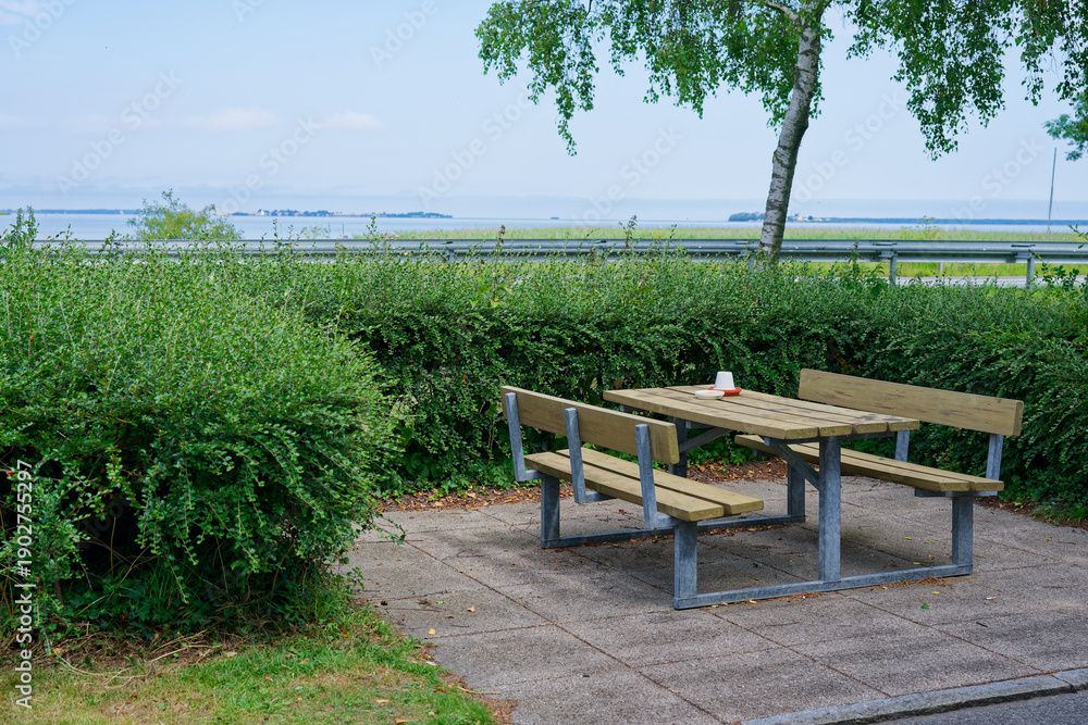 Obraz premium Highway rest nook with picnic table set behind shrubs.