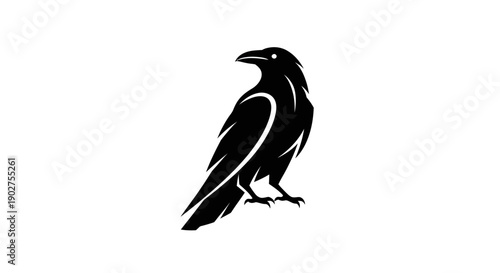 Black raven silhouette on white background