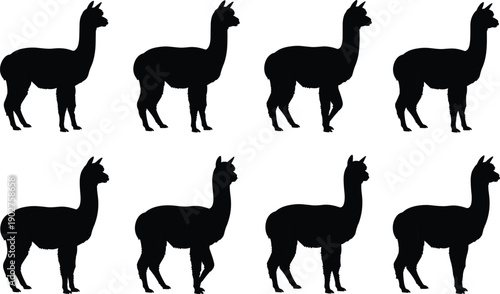 Black silhouettes of llamas in various poses white background animals 2