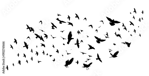 Flying birds silhouette flock. hand drawing. Not AI. Vector illustration