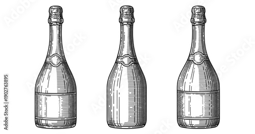 Vintage champagne bottles engraving: trio of elegant design