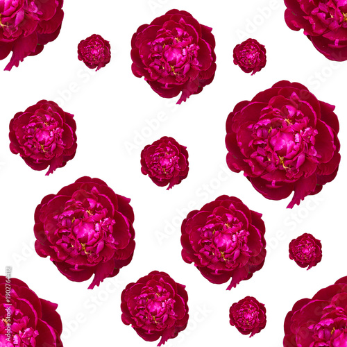 purple seamless pattern with peony flowers
