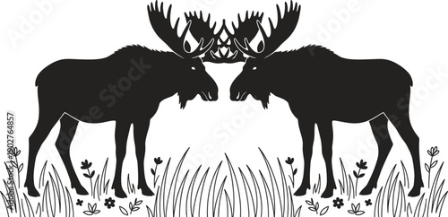 Moose silhouette collection featuring majestic bull elk with large antlers in grassy field isolated on white background for wildlife nature and forest design