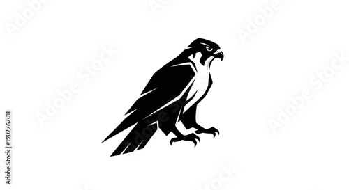 Black silhouette of a majestic falcon