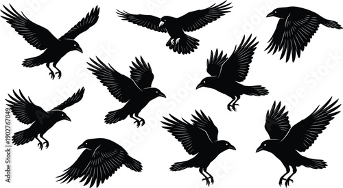 Black crow and raven silhouette collection featuring majestic birds in various flying and perching poses isolated on white background for gothic nature design