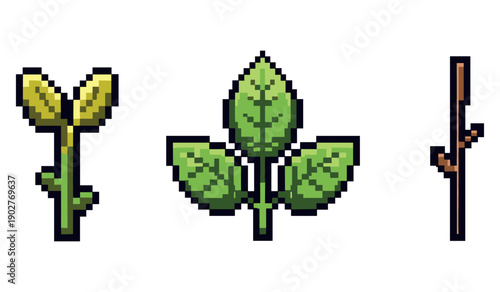Pixel art sprouting plant stages: seedling, leafy growth, bare twig