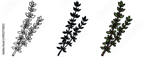 Three styles of thyme sprigs: outline, silhouette, and pixelated art