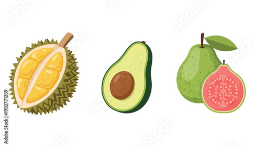 Illustration of durian, avocado, pear, and guava fruits