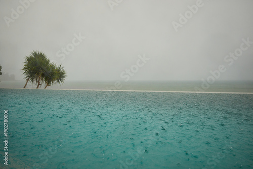 a palm tree by the pool in a luxury villa and the sea, it is raining heavily in the background, 