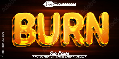  Burn Fire Flame Heat Vector Fully Editable Smart Object Text Effect