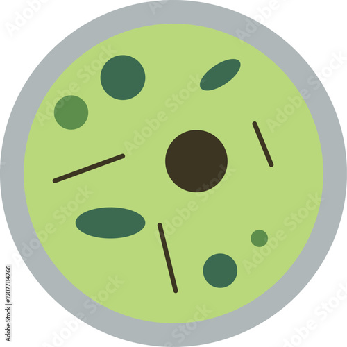 Microbiology cells in magnify glass. Biology cartoon icon