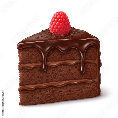 Chocolate cake slice with choco hazelnut filling and fresh raspberry topping.