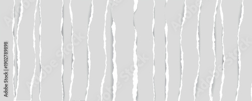 Ripped Paper Collection Torn Edge and Texture Set on Grey Background