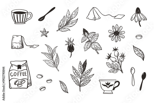 Set of coffee cups spoons and plants. Isolated design elements for menu, packaging. Black and white vector illustration.