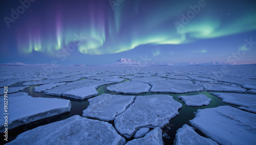 Aerial Arctic Fjord with Aurora Reflection and Abstract Ice Patterns