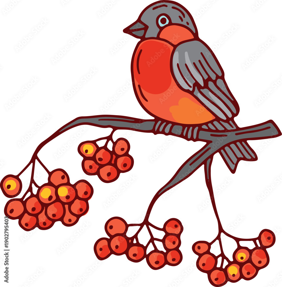 Fototapeta premium Winter rowan branch with bullfinch bird color drawing