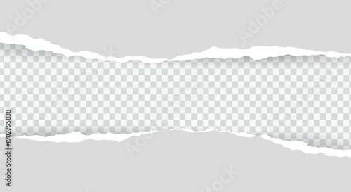 Horizontal Ripped Paper Edge Gray Banner with Transparent Background