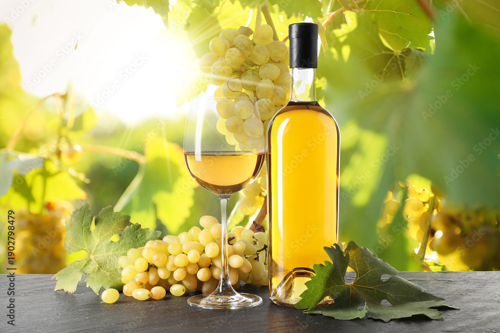 Obraz premium Wine and fresh grapes on table. Glass and bottle in vineyard
