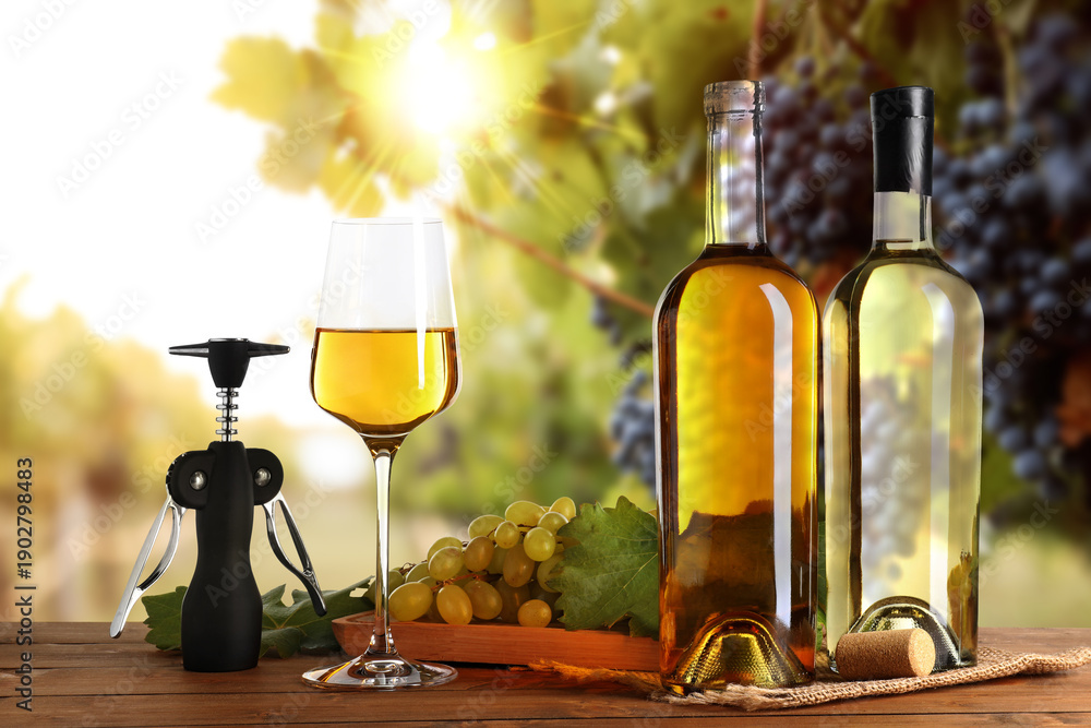 Obraz premium Wine and fresh grapes on table. Glass, bottles and corkscrew in vineyard