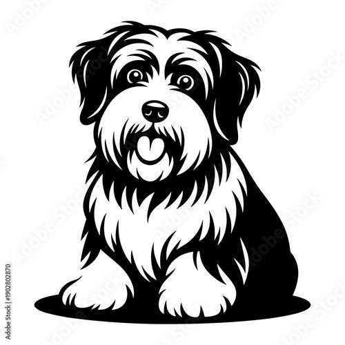 Tibetan Terrier Dog