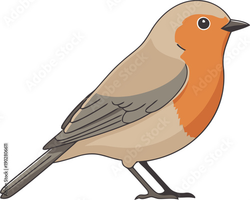 Cartoon illustration of a robin bird with orange breast and brown wings