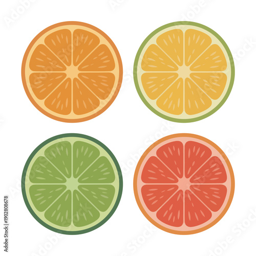 A colorful illustration of four citrus fruit slices on a white background