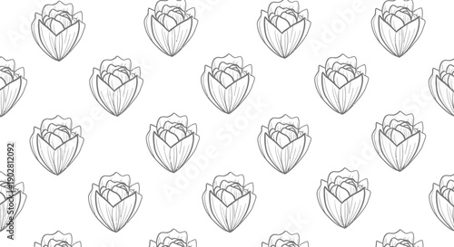 Seamless pattern of outlined cabbage heads on a white background, featuring a simple and clean line art design perfect for textiles or wallpaper.