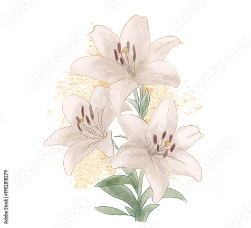 Hand drawn watercolor bouquet of lilies