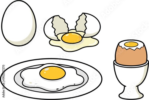 Egg Collection with Whole Cracked Fried and Boiled Egg Isolated on White Background Flat Vector Illustration